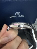 IMG_5437.jpeg