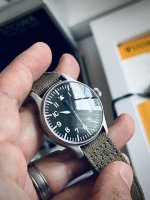 IMG_6597.jpeg