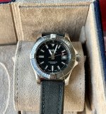 IMG_9308.jpeg