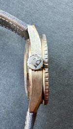 IMG_9329.jpeg