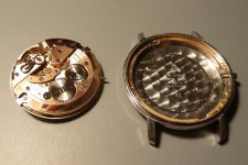 E7FD9260-803D-4582-BDA3-AF83C28328F8.jpg