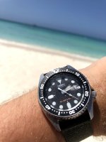 IMG_4006.jpeg