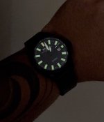 IMG_1074.jpeg