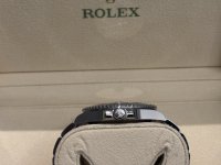 IMG_2733.jpeg