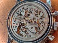 IMG_5040.jpeg