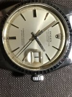 IMG_1523.jpeg