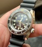 IMG_2163.jpeg