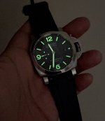 IMG_2335.jpeg