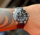 IMG_2518.jpeg