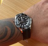 IMG_2517.jpeg