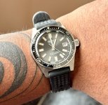 IMG_2846.jpeg