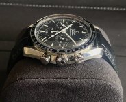 IMG_9155.jpeg