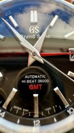 IMG_3004.jpeg