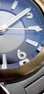 20250312_174244.jpg