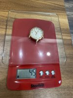 IMG_5558.jpeg