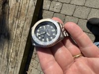 IMG_7294.jpeg