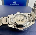 IMG_7928.jpeg