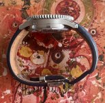 IMG_0108.jpeg