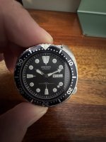 IMG_4960.jpeg