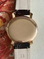 IMG_0248.jpeg