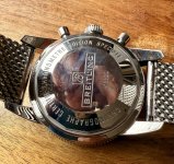 IMG_4903.jpeg