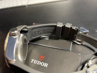 IMG_2033.jpeg