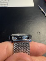 IMG_4051.jpeg