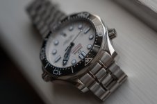 20250512-L1000504.jpg