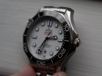 20250512-L1000545.jpg