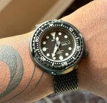 IMG_6600.jpeg