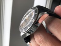 Tudor 5.jpg