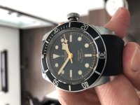 Tudor 6.jpg