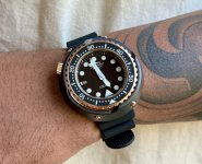 IMG_6919.jpeg