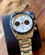 IMG_7101.jpeg