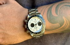 IMG_7100.jpeg