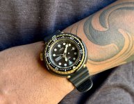 IMG_7084.jpeg