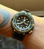 IMG_7085.jpeg