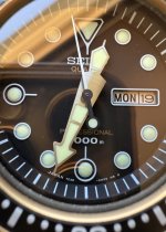 IMG_7076.jpeg