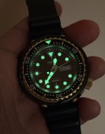 IMG_7082.jpeg