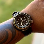 IMG_7083.jpeg