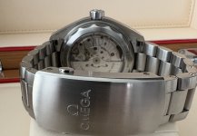 IMG_1532.jpeg