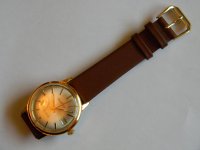 DSCN0660.JPG