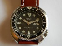 DSCN0819.JPG