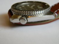 DSCN0820.JPG