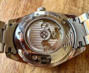 IMG_8315.jpeg