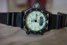 IMG_0629-compressed.jpeg