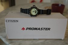 IMG_0633-compressed.jpeg
