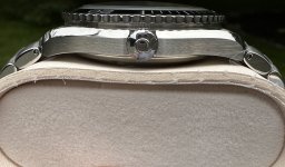 IMG_5185.jpeg