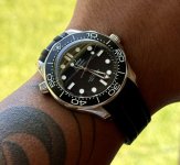 IMG_8446.jpeg