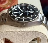 IMG_2939.jpeg